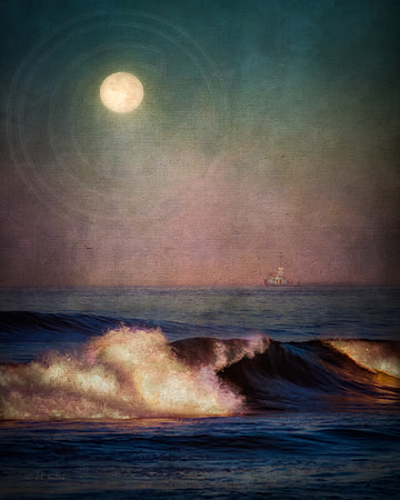 Fisherman's Serenity