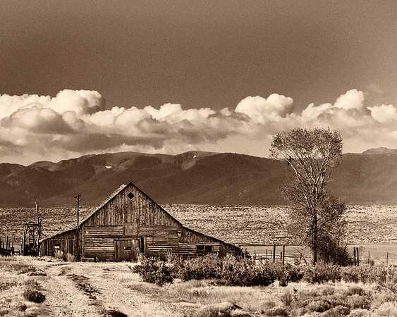 The Barn
