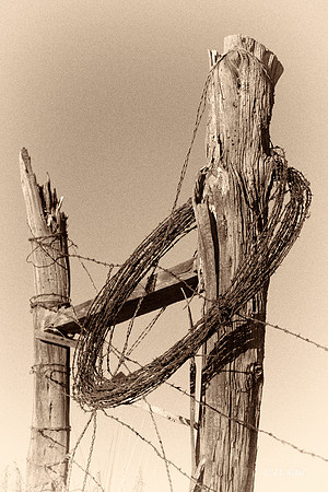 Braced
