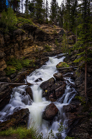 Adams Falls