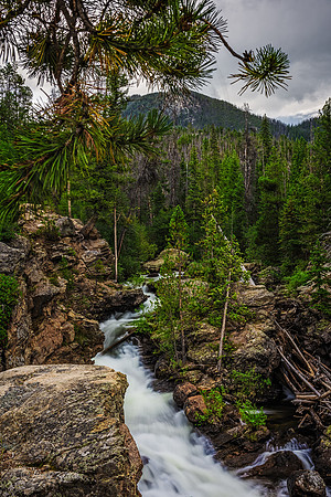 Mountain Stream