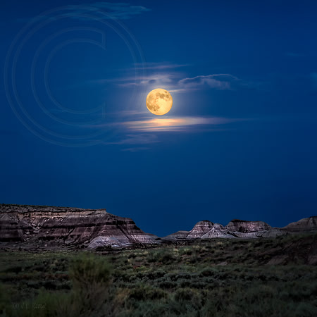 Blue Moon Rising