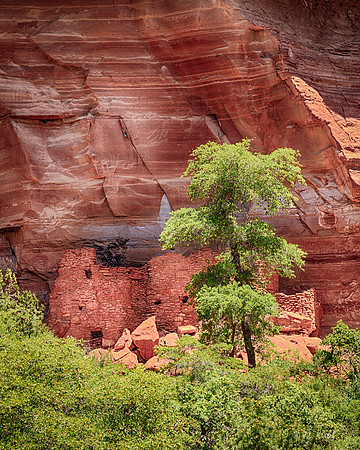 Red House Ruin