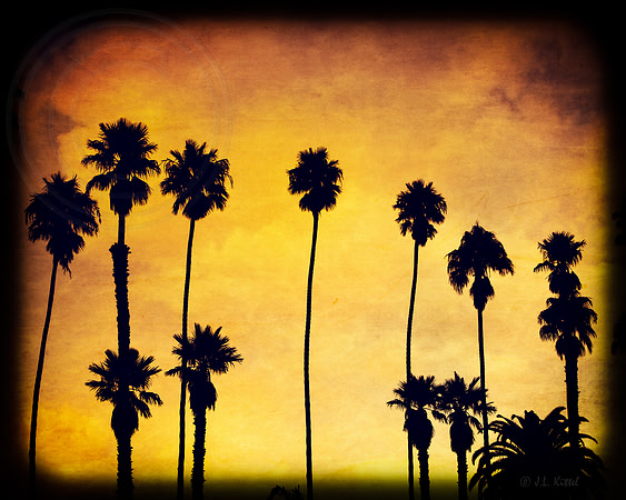 Tequila Sunrise