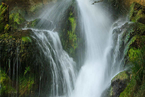 Nurturing Waters of Life