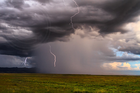 Storm Cell